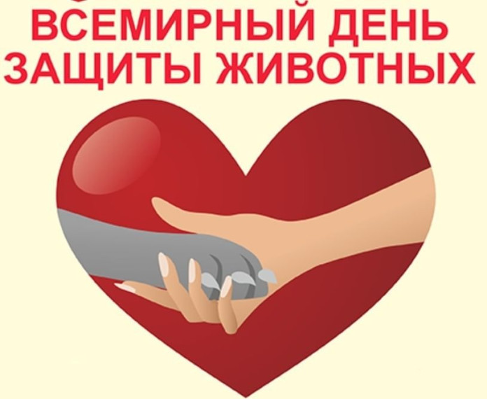 Флешмоб «Доброе сердце».
