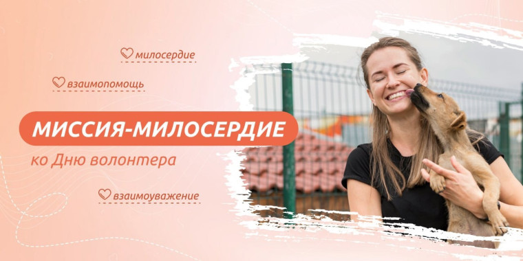 Миссия-милосердие (ко Дню волонтёра).