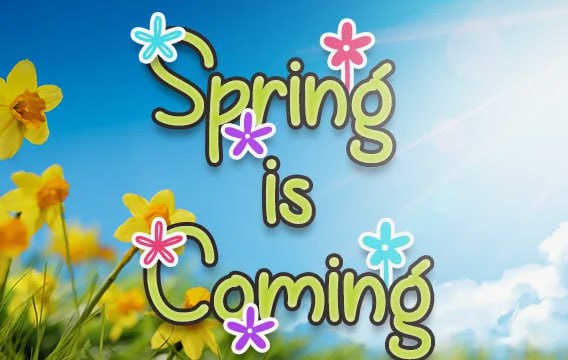 Неделя английского языка «The spring is coming».